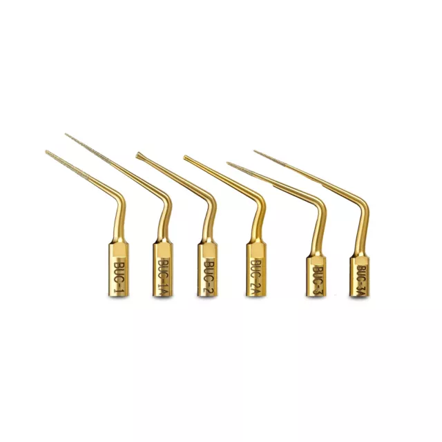 Obtura Spartan BUC Endodontic Ultrasonic Tips (6 Models)