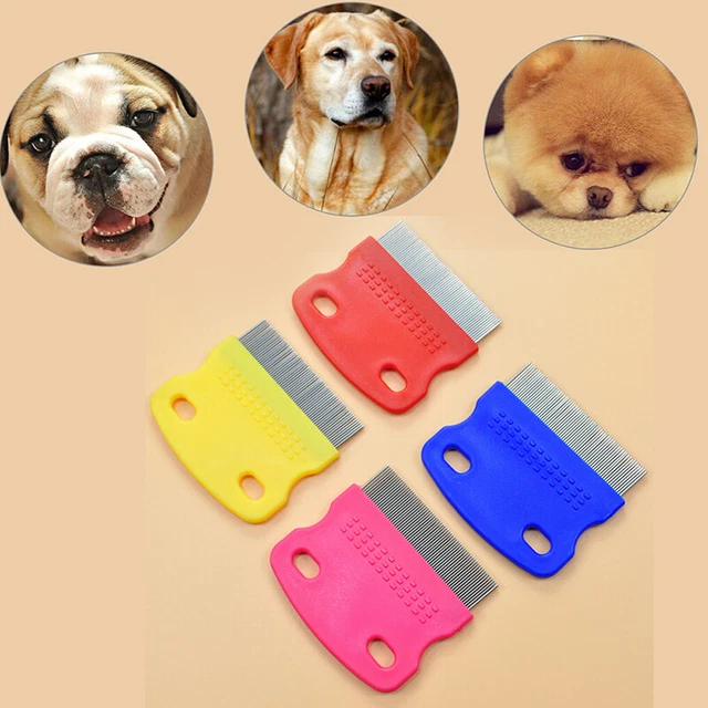 stainless steel pet dog cat toothed flea removal cleaning brush grooming cCRT  q