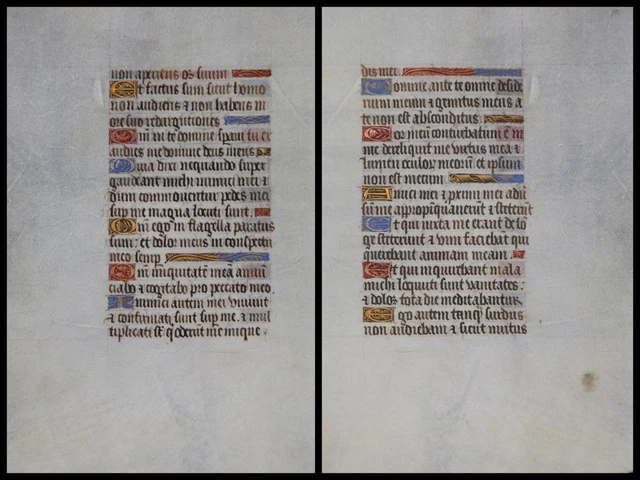 Illuminierte Grafia Su Pergamena Foglia Di Uno Miniatura Um 1500 (052)