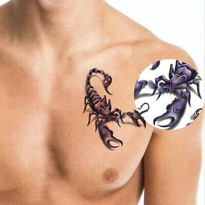 Tatuajes Scorpion King cuerpo brazo pierna hombre impermeable sexy Cool Fun Aufkl B2