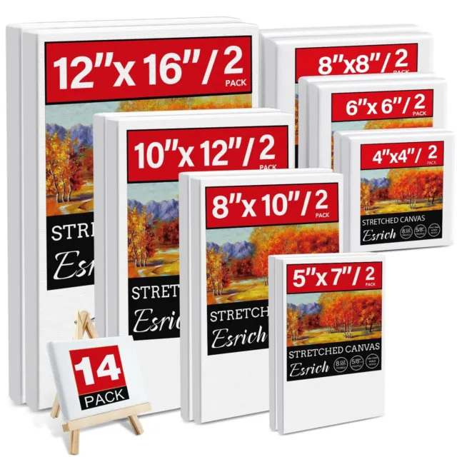10 Pack 8 x 10 Super Value Canvas by Artist's Loft® Necessities