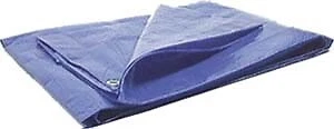 Wilmar Protective Tarp Size 8x10w6004
