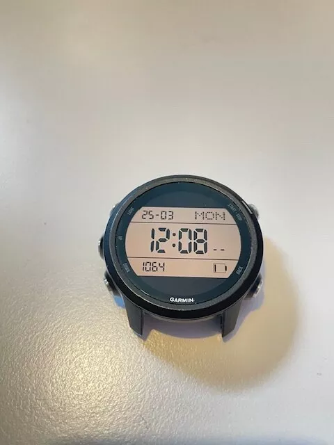 Garmin Forerunner 245 GPS Laufuhr - Schwarz/Grau