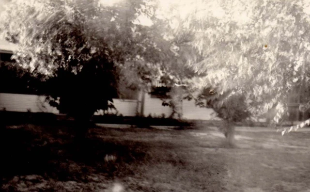 Vintage  Real Photo  Family House Back of our home San Antonio Texas  c 1930's