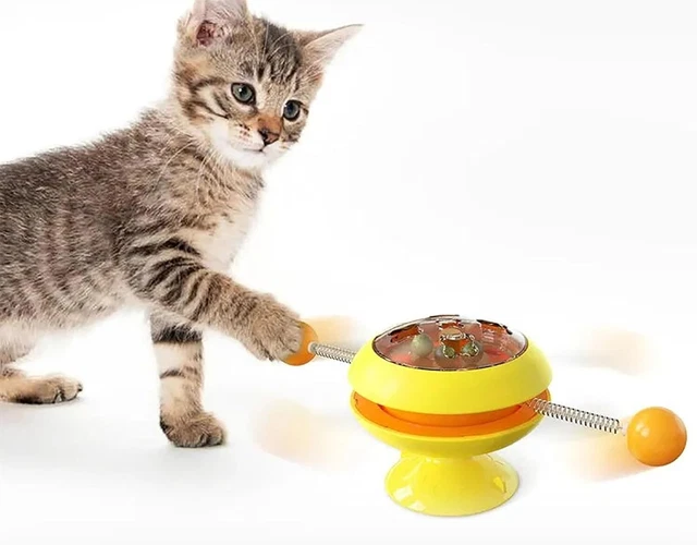 Catnip Interactive Toys for Indoor Adult Cats, Cat Toys Interactive for Indoor