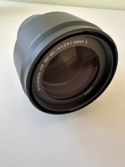 Panasonic Lumix G Vario 100-300 mm F/4.0-5.6 II AF OIS Objektiv 3