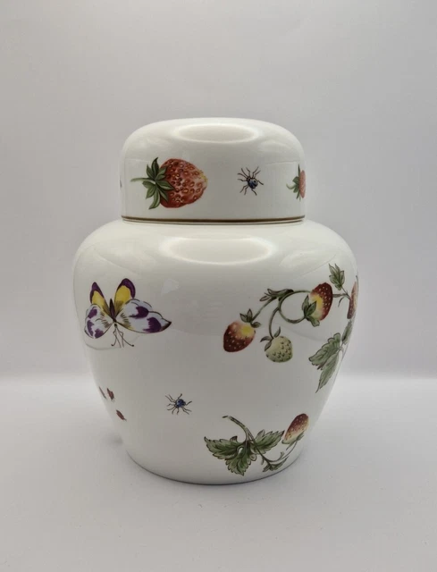 Vintage Coalport Ginger Jar Strawberry Bone China