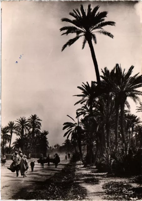 CPM MOROCCO Marrakech - A corner of the palm grove (343152)