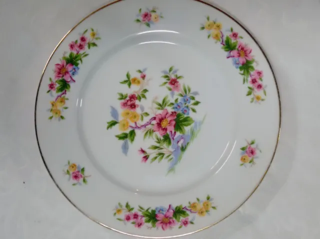 Assiette en Porcelaine de Limoges N 88 Motif Fleur