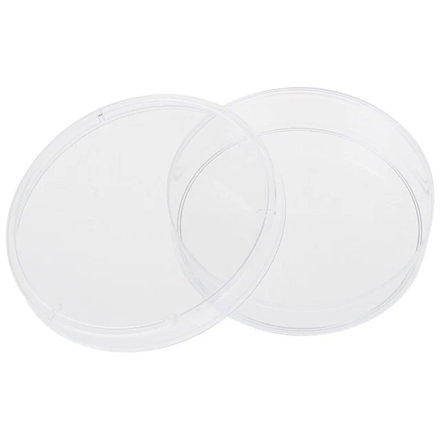 10 pcs 60mm x 15mm polystyrene dishes with lids Clear D1S8