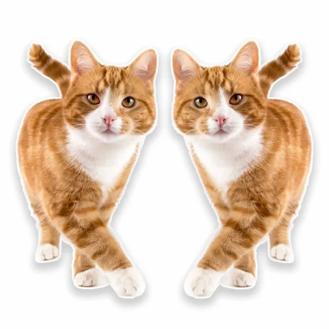 2 x 10cm Ginger Cat Vinyl Sticker Decal Laptop Tablet Fridge Animal Kitten #9640