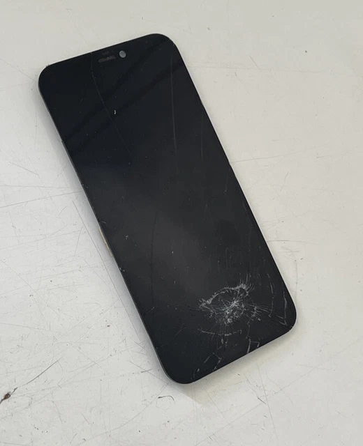Mini display OLED originale Apple iPhone 12 difettoso senza funzione rottura vetro