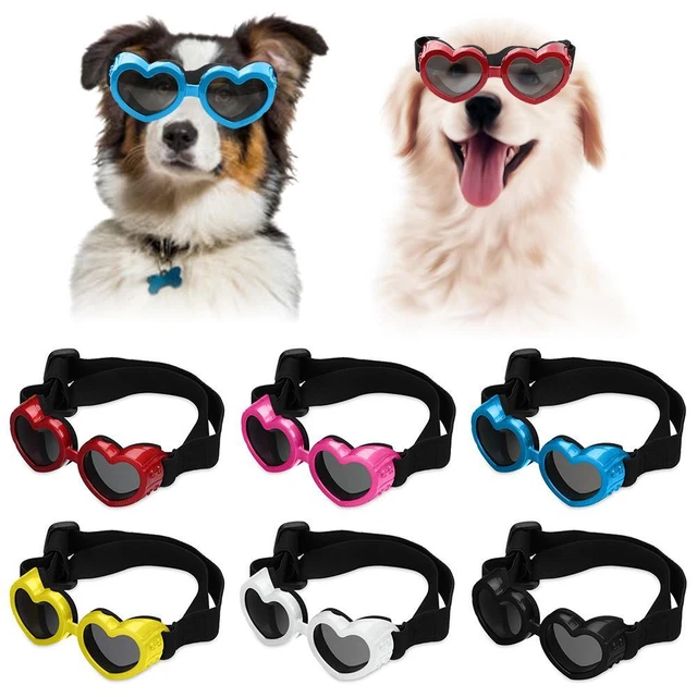 Gafas de protección antiniebla a prueba de viento para perros pequeños gafas de sol parabrisas