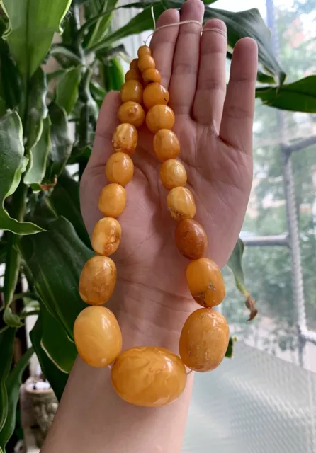 Very BIG Amber Necklace Natural Original Natural 52g Baltic Egg Yolk Old Rare