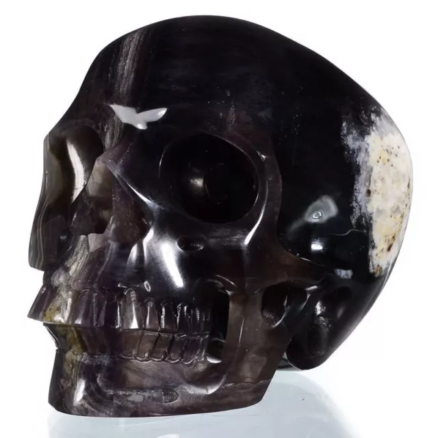4.96"Natural Fluorite Crystal Skull/Head Carving Collectibles 28X76
