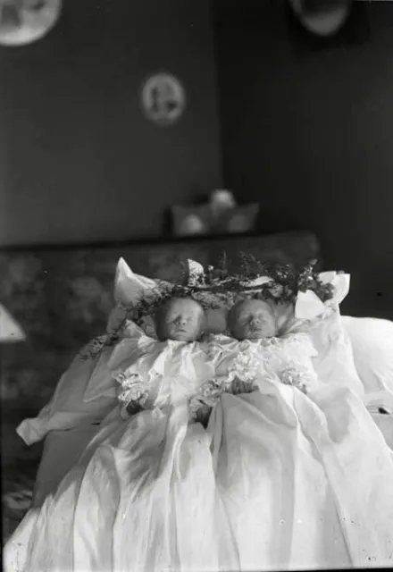 Antique Post Mortem Twins Photo 114b Odd Strange & Bizarre