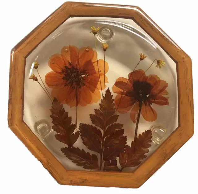 Vintage Lucite Trivet With Imbedded Pressed Flowers And Leaves - 1970’s