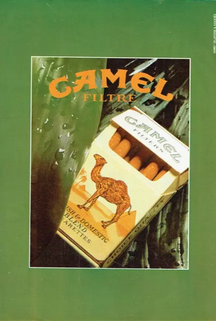 Publicité Advertising 04.24  1981  Camel filtre  cigarettes