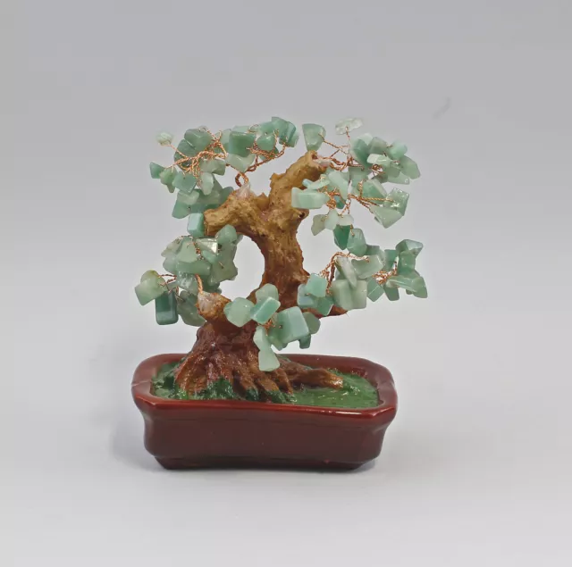 9138044-d  Jade-Baum Bonsai-Form Jadesteine als Laub