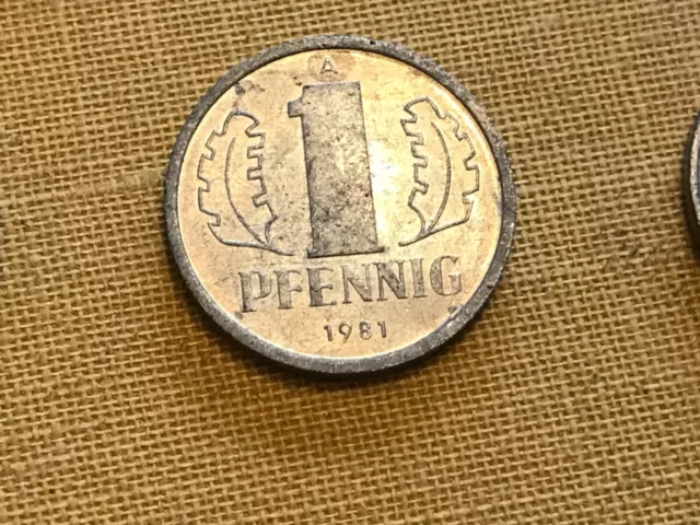 Münzen Umlaufmünze Deutschland DDR 1 Pfennig 1981