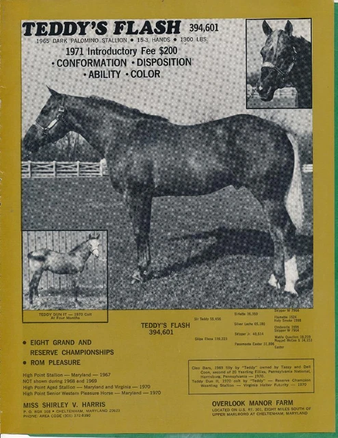 Magazine Ad - 1971 - Overlook Manor Horse Farm, Cheltenham, MD - TEDDY'S FLASH