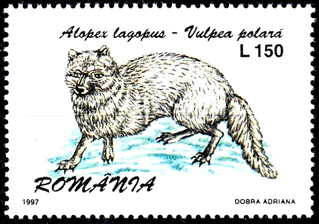 Rumänien postfrisch MNH Tier Wildtier Polarfuchs Fuchs Wildhund Raubtier / 906