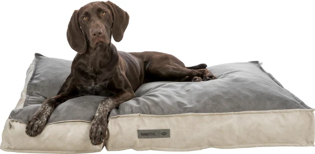 Coussin pour Chien Coussin Lit Housse Amovible Lavable Antidérapant Matelas