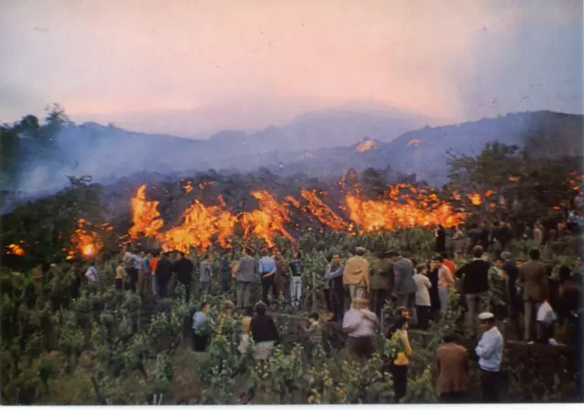 Cartolina Etna in Eruzione (48029) Il fronte lavico distrugge le coltivazioni