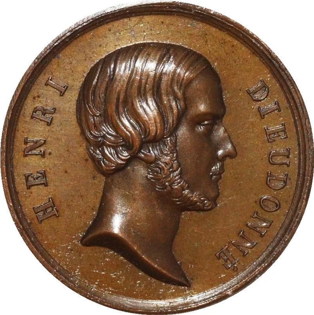 France - AE Médaille Naissance d'Henri V, Comte de - Catawiki