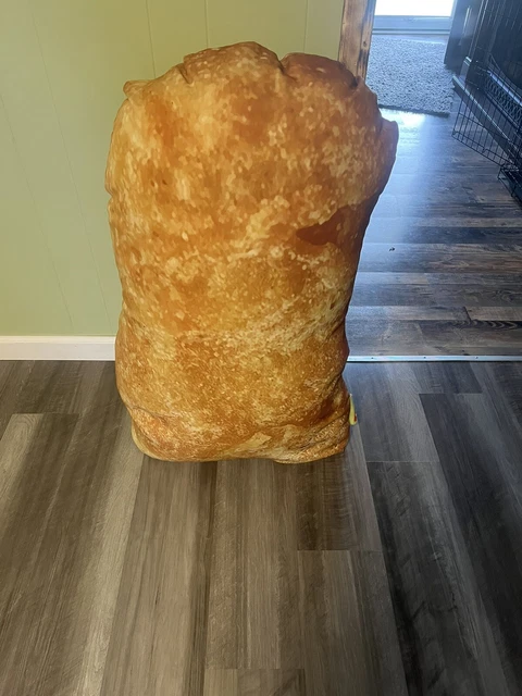 travis scott 6 cactus jack