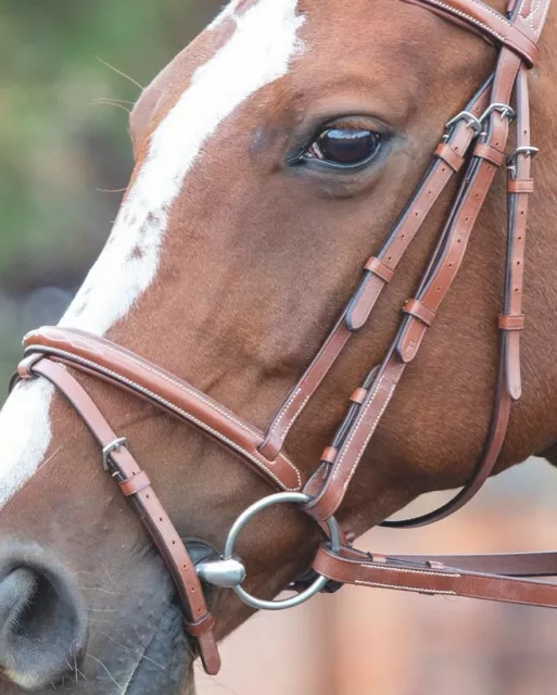 Shires Avignon Padded Raised Flash Leather Noseband |  3 Colours