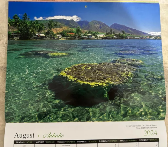 Maui Calendar 2025 Chad Meghan