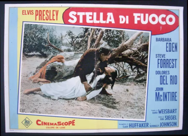 CINEMA-fotobusta  STELLA DI FUOCO elvis presley, eden, forrest, SIEGEL