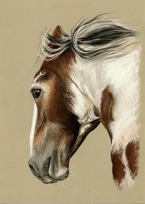 ORIGINALE Dipinto a Pastello-CAVALLI 36cm x 28cm con mountboard Nero 