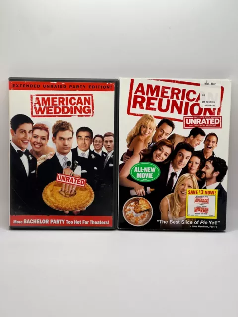 Jason Biggs - American Weddings, American Reunion, SavingSilverman, +1 -4DVD Lot