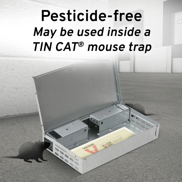 72 Victor Tin Cat Glue Boards M309 ~ Mouse Insect Control Glue Board Traps~ 3