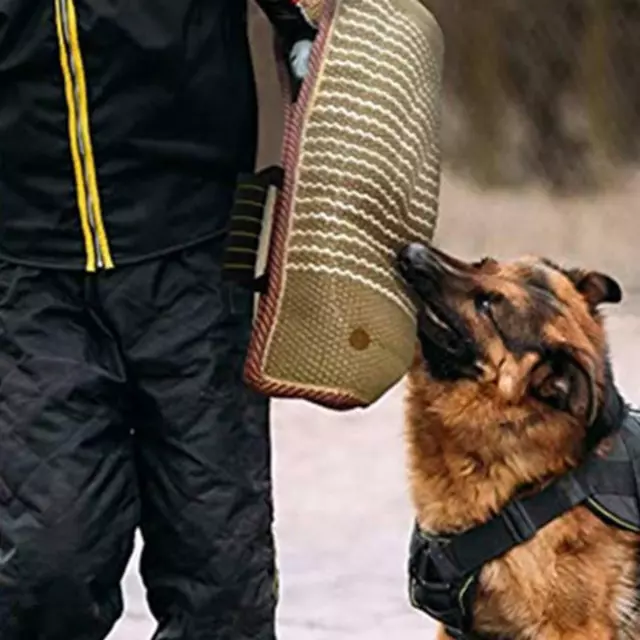 Giocattoli da tiro alla fune per cani con morso di  per cuccioli 3