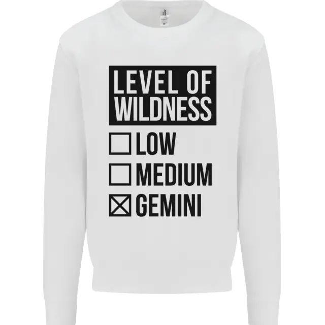 Felpa maglione bambini Levels of Wildness Gemini