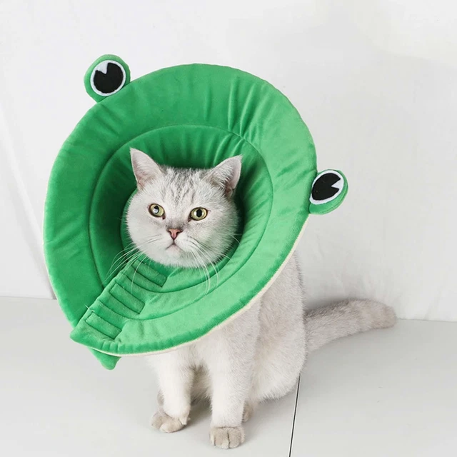 Collier de cône de chat mignon Collier élisabéthain Collier de récupération