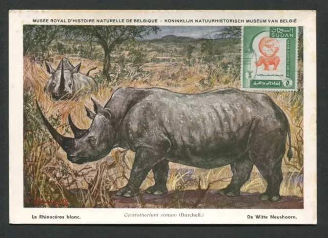 SOUDAN MK 1958 FAUNA NASHORN RHINO MAXIMUMKARTE CARTE MAXIMUM CARD MC CM d7888