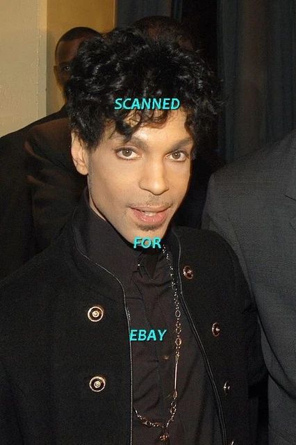 Prince 4" X 6" Color Photograph