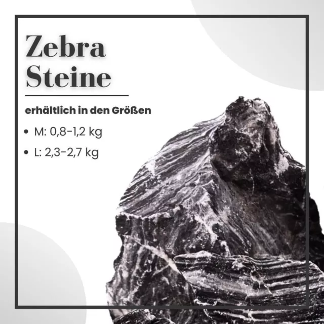 Aquarium Natursteine Zebrasteine Deko Steine 1 Stück Gr.M 0,8-1,2kg Nr.54 Felsen 2