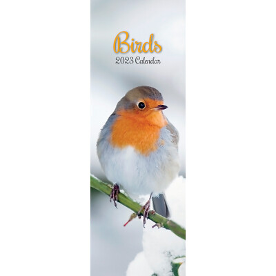 2023 BIRDS SLIMLINE Slim Wall Calendar Hanging Pets Animals Planner New