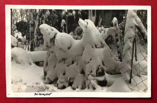 Walter Hahn Foto AK Prägestempel + Nr. 1380 Erzgebirge Bei Hermsdorf  ( 89292