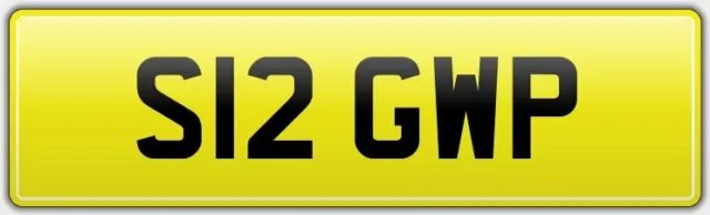 German Wire Haired Pointer Dog Breed Car Number Plate S12 Gwp / Gwhp Wirehaired