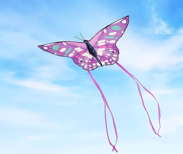 130cm Butterfly Kite for Kids Adults Easy to Fly Kite 80cm Long Tails +100M Cord