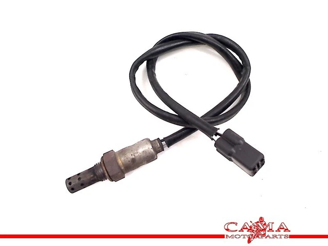 SENSORE LAMBDA Triumph Street Triple 675 R 2013-2017 2014