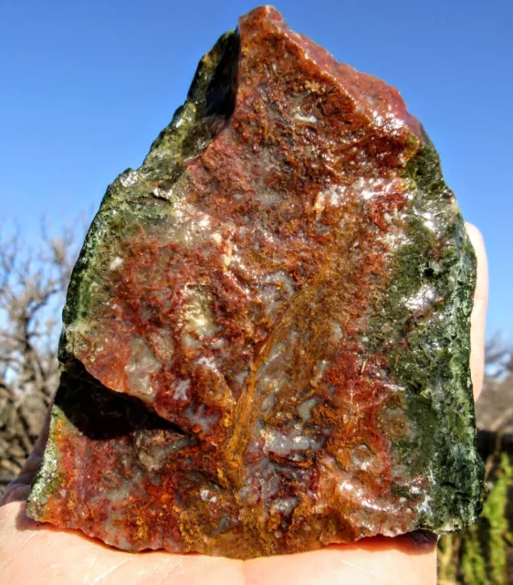 Bloody Basin moss agate lapidary rough 1 pound, 9oz