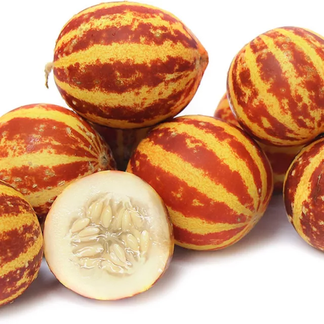 Mini Honigmelone 'RICH SWEETNESS' 10 Samen CUCUMIS MELO süß MELONE ertragreich