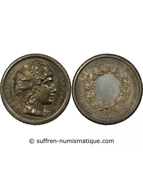 FRANCE MÉDAILLE 1895 Comice agricole de Castres (Tarn) SUP poinçon corne cuivre EUR 42,00 - FR